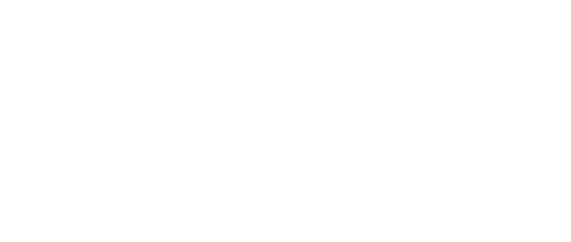 vievet-chile