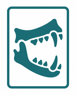 Radiografías orales